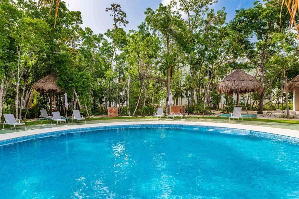 Lovely Cozy Apt W/Pool 2 Bedrooms. Great Location! プエルト・モレロス エクステリア 写真